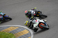 Advanced Group White Bikes